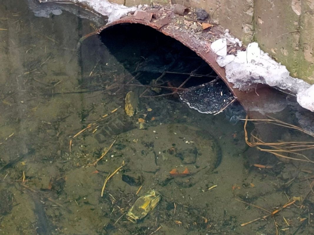 У шебекинцев затопило подвалы