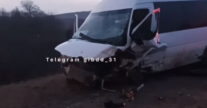 В Белгородской области лоб в лоб столкнулись легковушка и микроавтобус