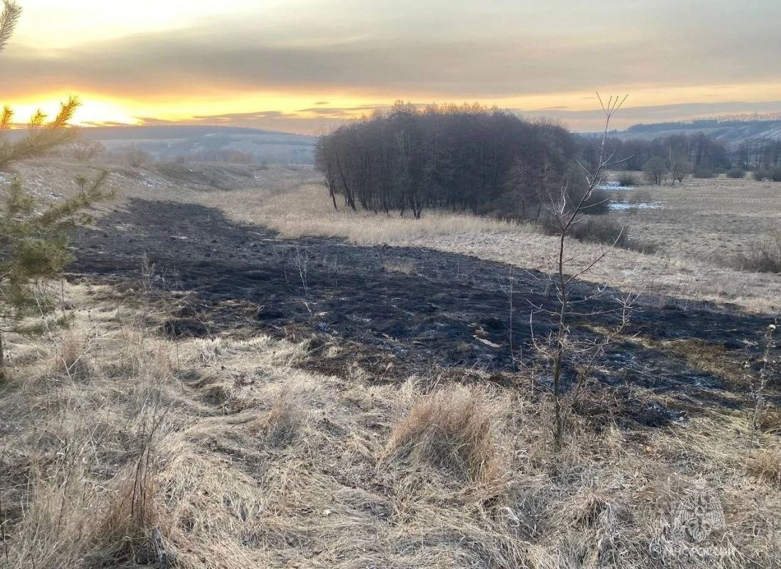 В Мясоедово женщина убирала на участке и подпалила луг с сухой травой