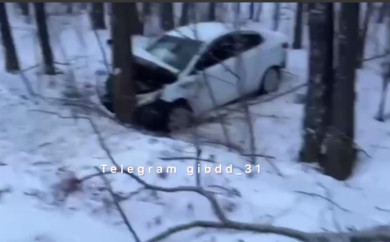 В Белгородской области машина с двумя детьми влетела в дерево
