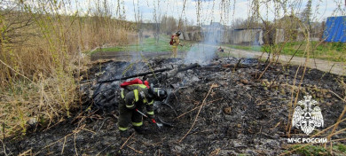 Белгородские пожарные спасли ежа из огненной западни