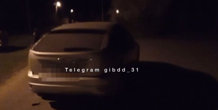 В Беленихино водитель сбил мопед и мужчину с ребенком, стоящих на обочине