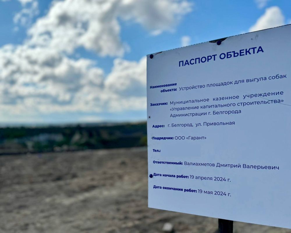 В Белгороде построят две новые площадки для выгула собак