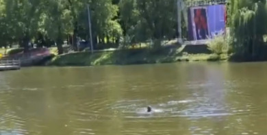 В Белгороде неофициально открыли купальный сезон