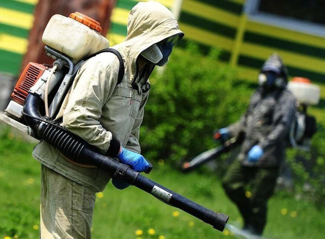 В Белгороде обработают от клещей площадки для выгула собак