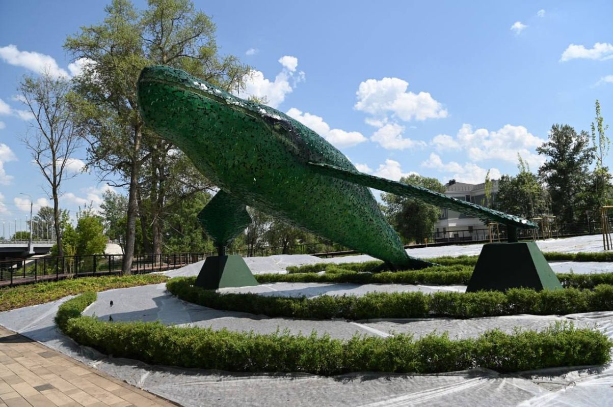 Парк «Берега» и Сосновку соединят велодорожкой