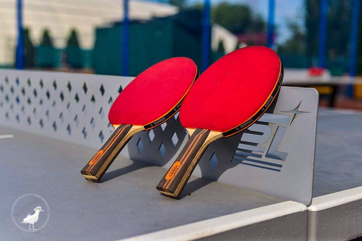 В парке «Берега» заработал бесплатный прокат спортинвентаря