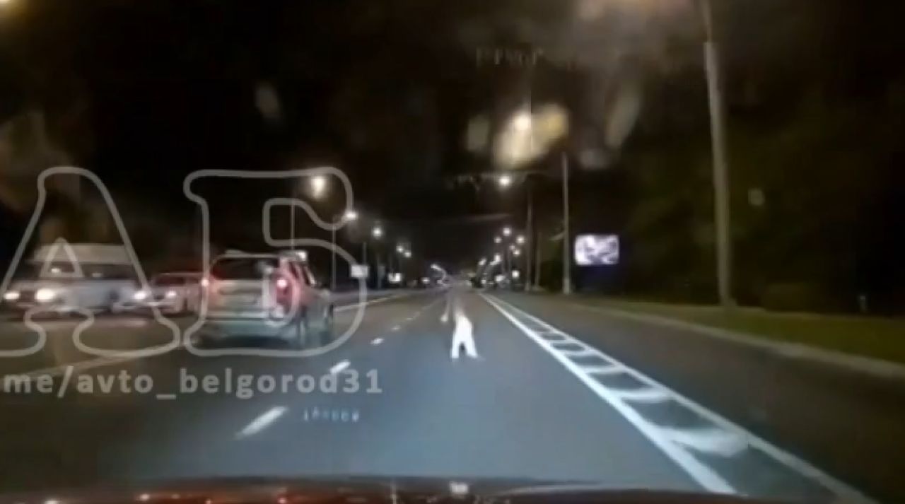 В Белгороде машина едва не сбила женщину, переходящую через Богданку