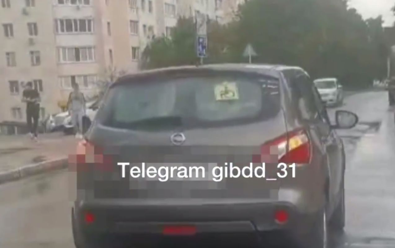 В Белгороде пожилой водитель кроссовера сбил женщину на пешеходном переходе