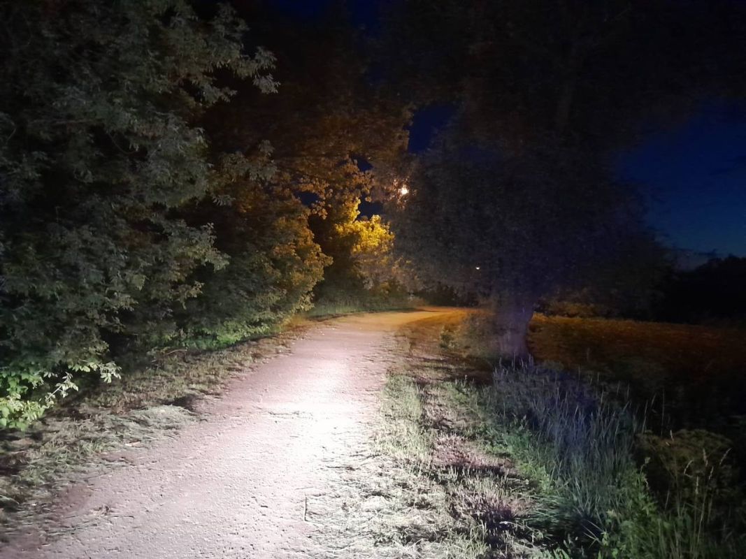 В Белгородской области подросток на спортинвентаре сбил женщину на грунтовой дороге