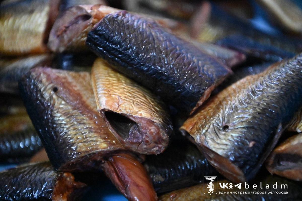 В Белгороде возобновили ярмарки выходного дня