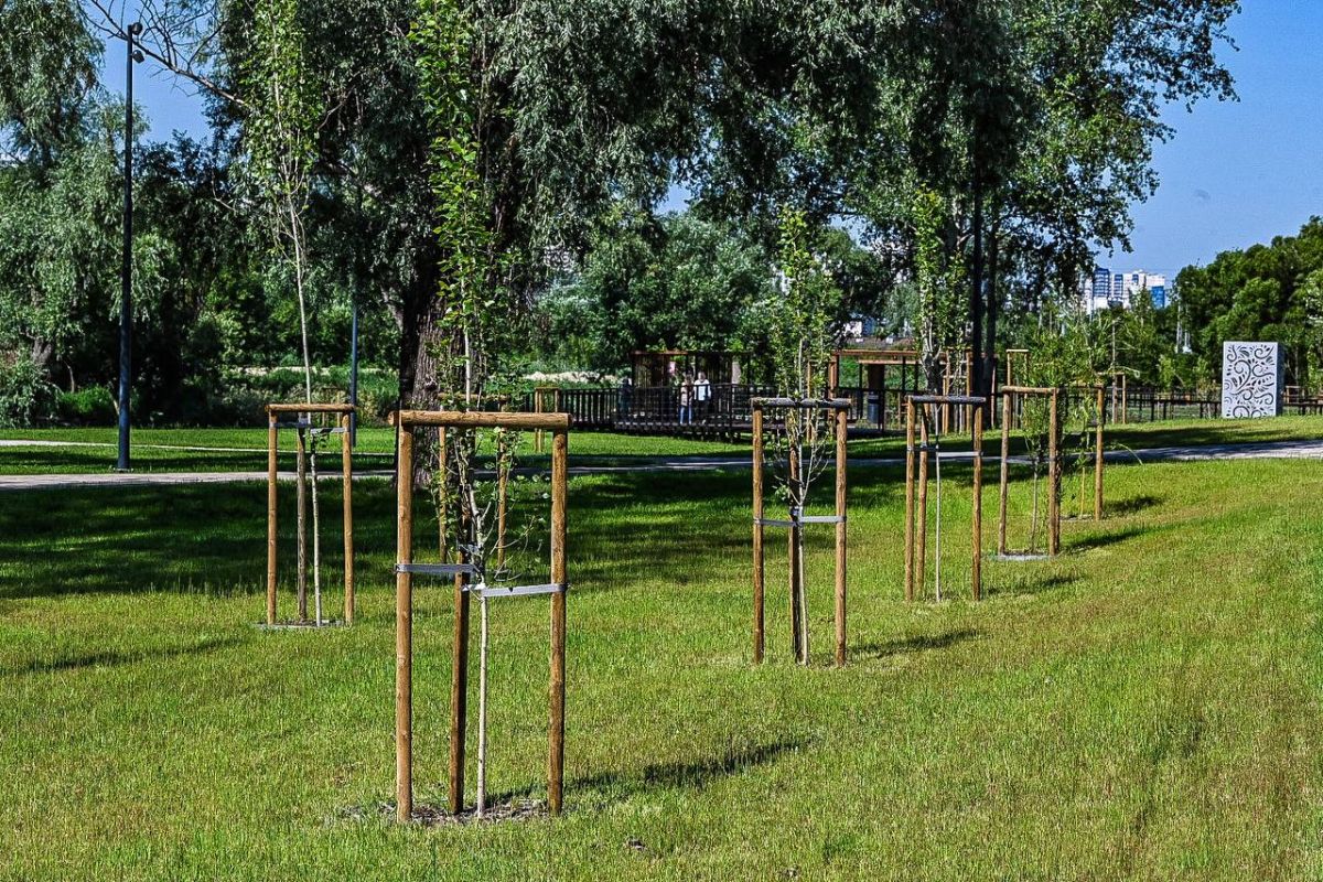 Все растения Белгорода внесли в единую электронную базу