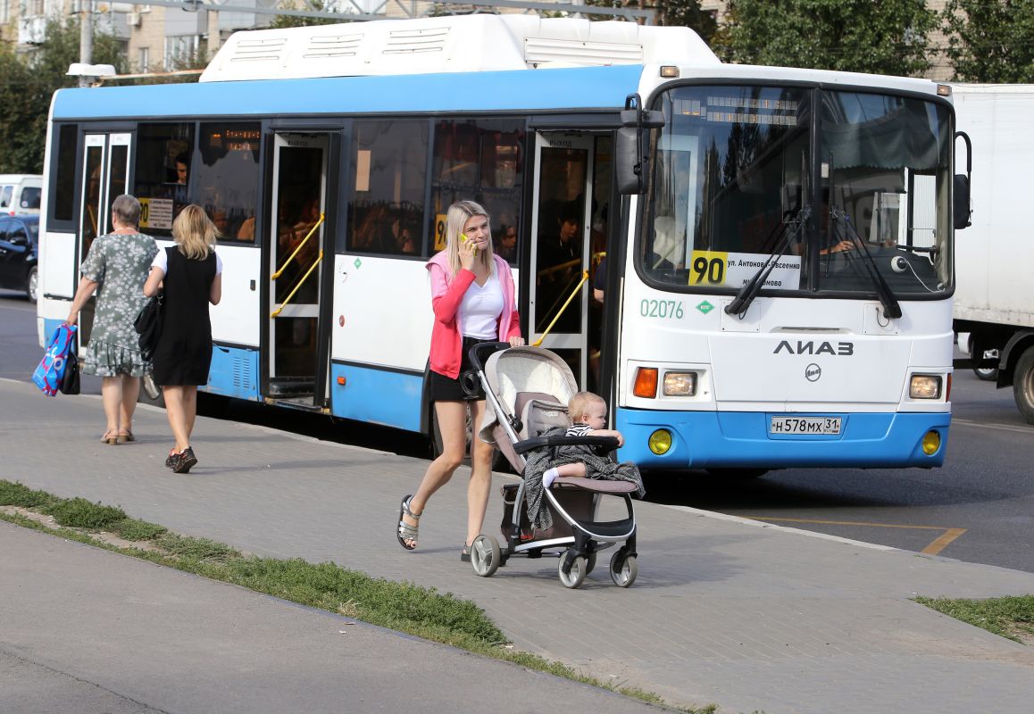 Белгородцы не&nbsp;могут уехать на&nbsp;работу