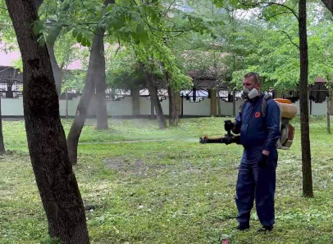 В Белгороде скверы обработают от клещей