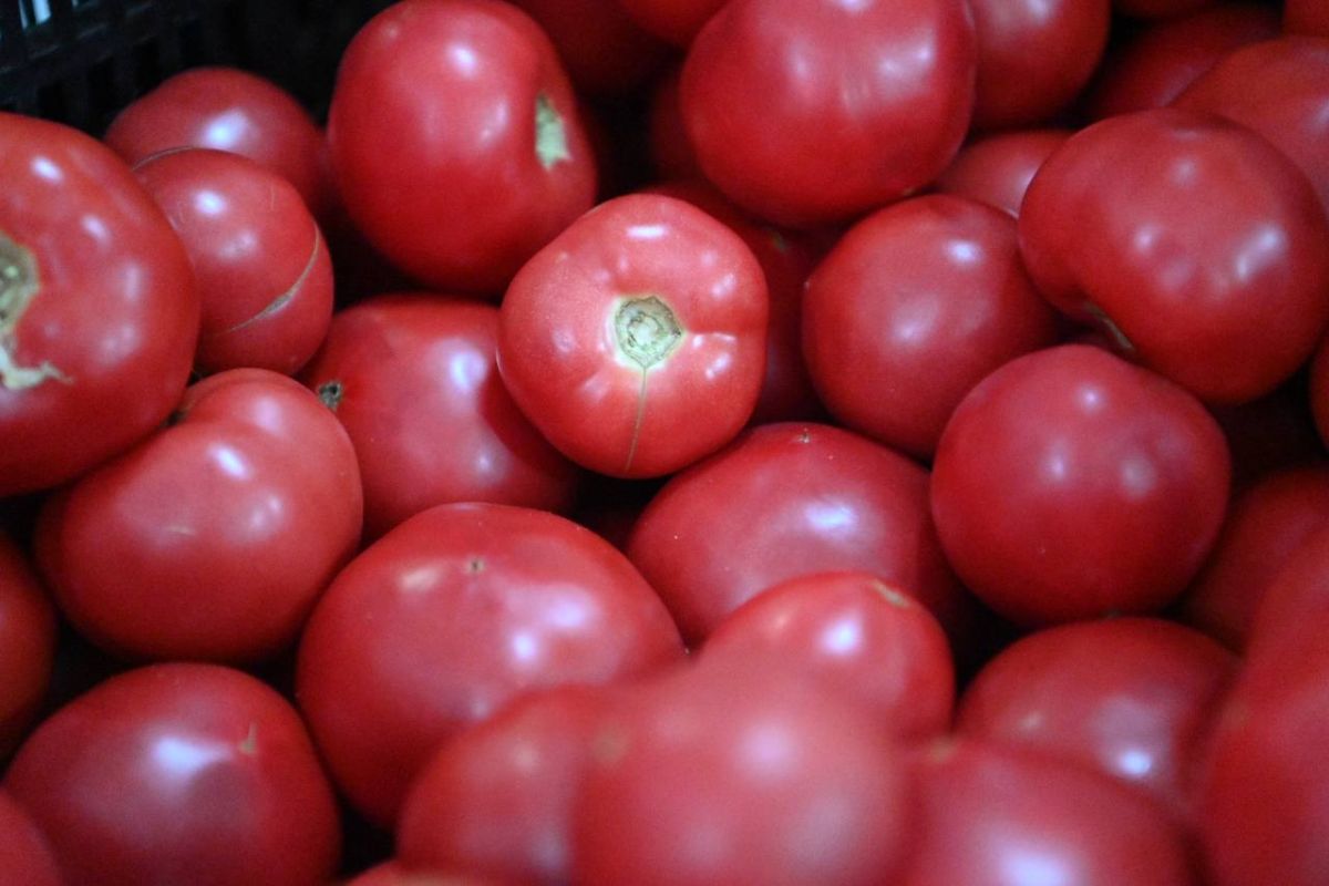 В Белгороде пройдет продовольственная ярмарка