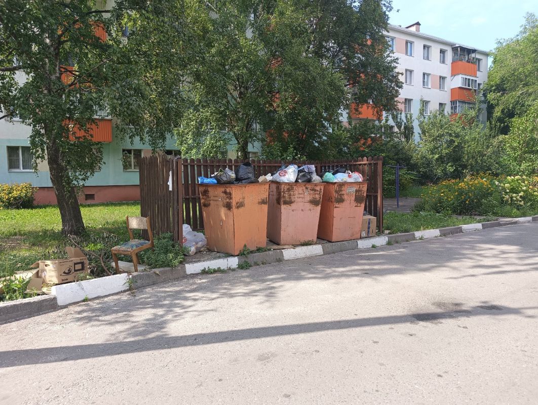 Губернатор о мусорном коллапсе: «Крайне безобразная организация работы»