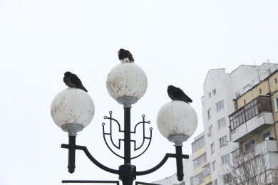 Жители Старого Оскола просят восстановить освещение в парке