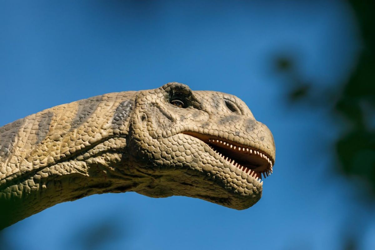 Белгородские дети смогут бесплатно посетить динопарк