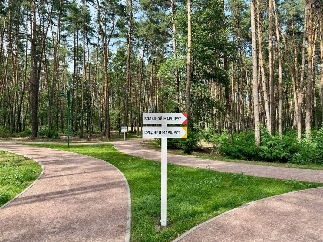 В Сосновке завершили строительство дистанции для бега