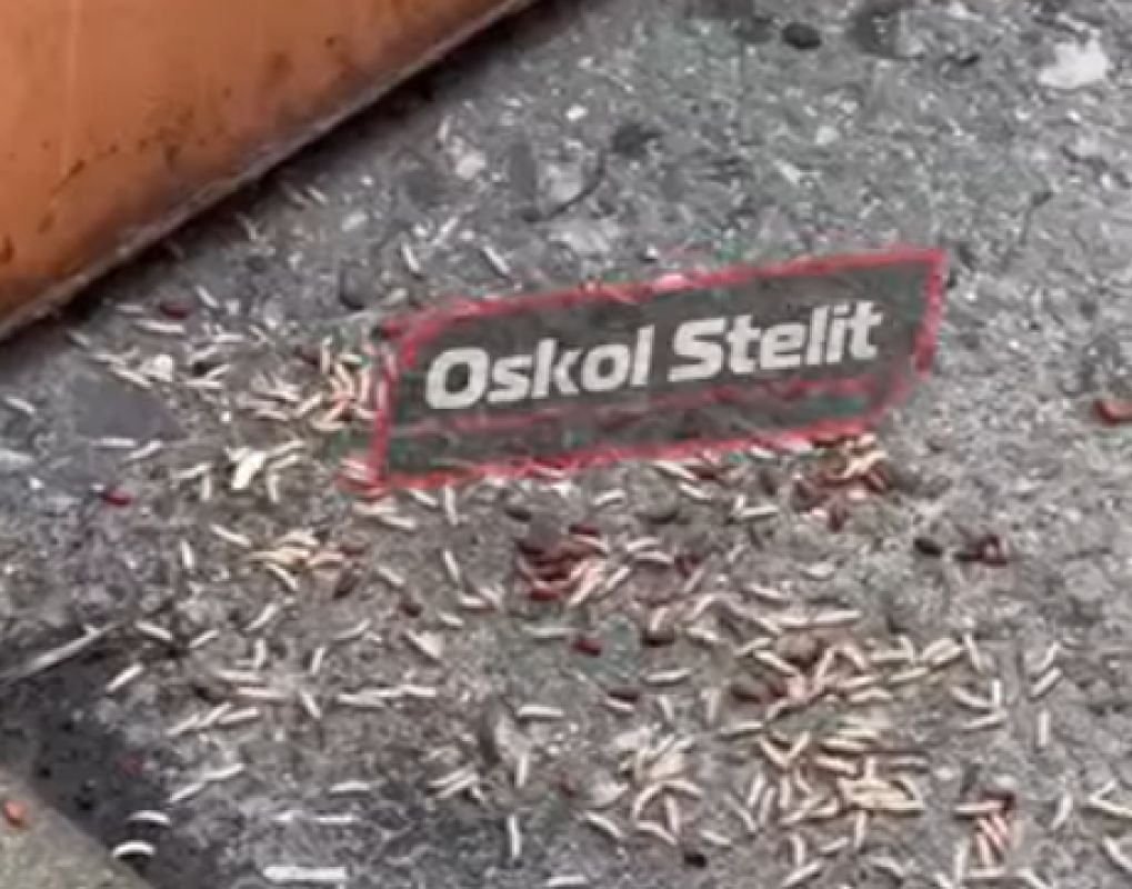 В Старом Осколе возле мусорных контейнеров завелись черви