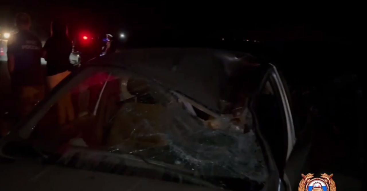 В Белгородской области легковушка насмерть сбила велосипедиста