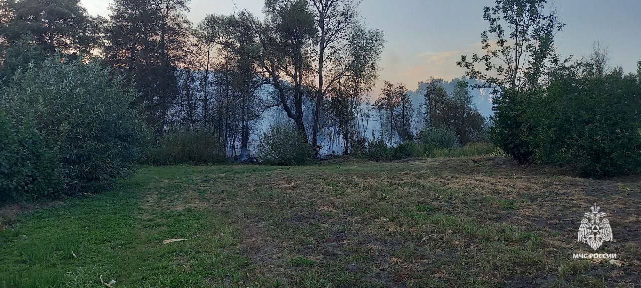 В Белгородской области потушили крупный ландшафтный пожар