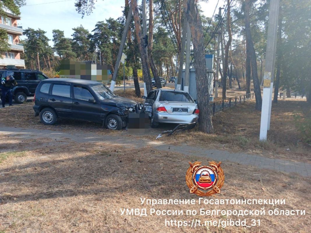 В Новой Таволжанке легковушка попала под&nbsp;колеса «Нивы»