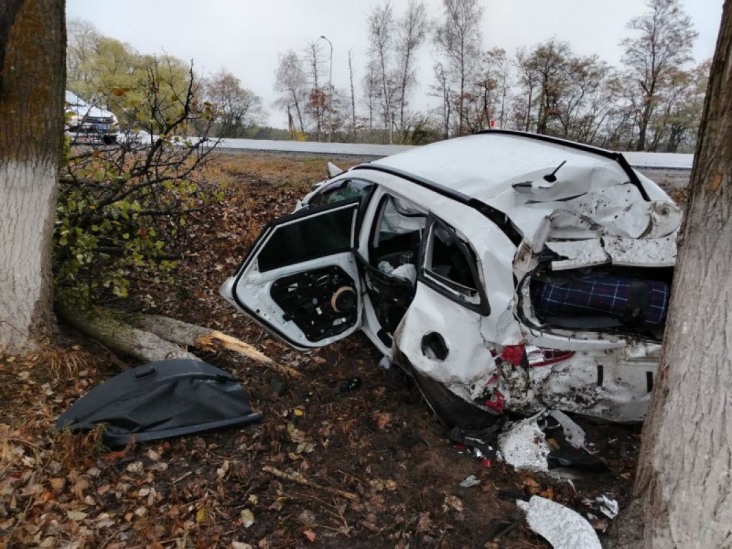 В Белгородской области автомобиль с молодым человеком и девушкой влетел в дерево