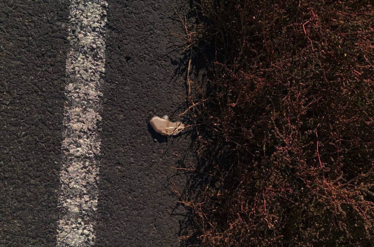 В Белгородской области несколько участков трасс перекрыли из-за разбросанных мин