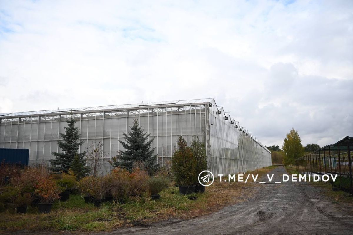 В Белгороде отремонтируют пострадавшую под обстрелами теплицу