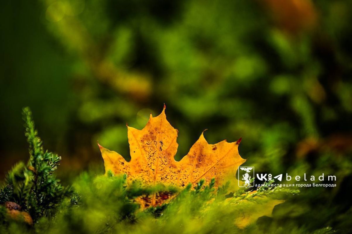 На Белгород надвигается потепление