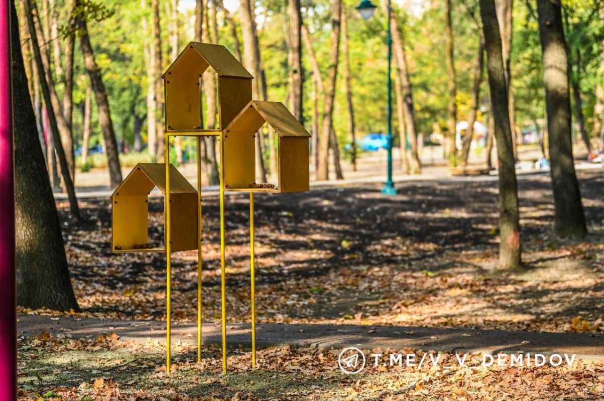 В Центральном парке установили кормушки для птиц