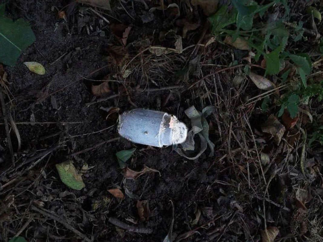 СРОЧНО: в&nbsp;Шебекинском горокруге нашли «колокольчики»