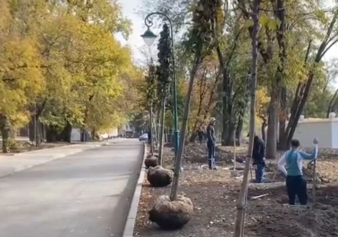 В Центральном парке Белгорода появится лабиринт из живой изгороди