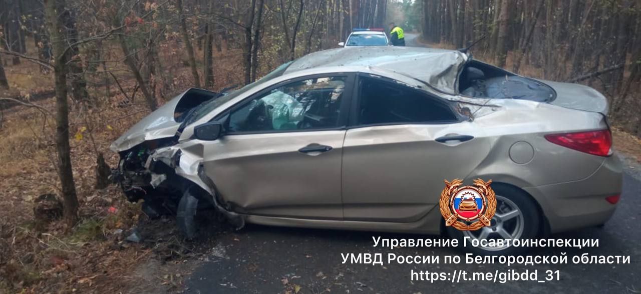 В Белгородской области машина с компанией подростков врезалась в дерево