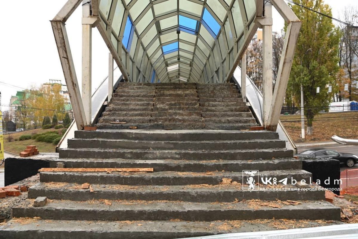 Белгородцы раскритиковали проект ремонта пешеходного моста на Ватутина