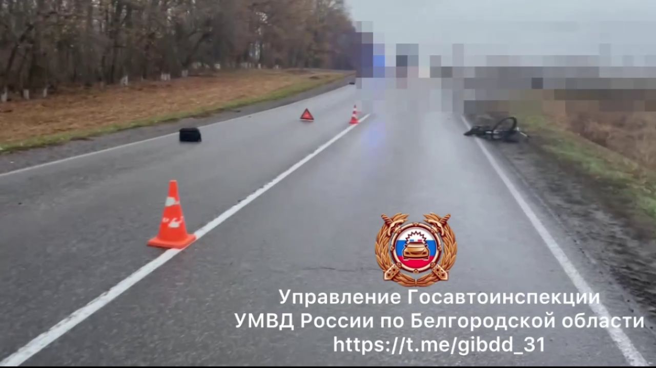 В Белгородской области машина насмерть сбила мужчину