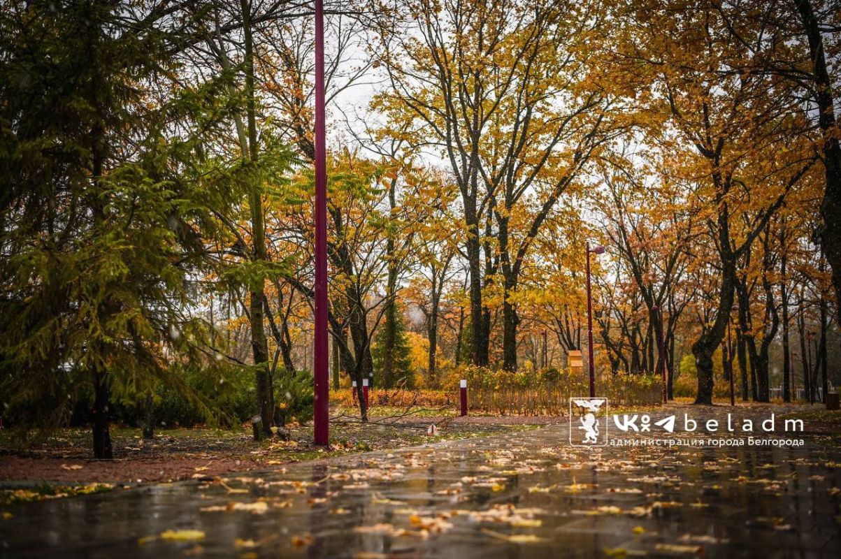 Понедельник принесет в Белгород ноябрьскую прохладу