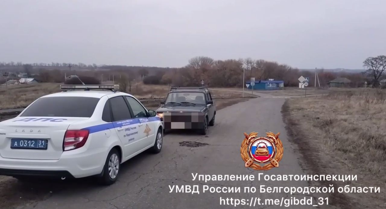 В Яблоново на дороге поймали пьяную автомобилистку