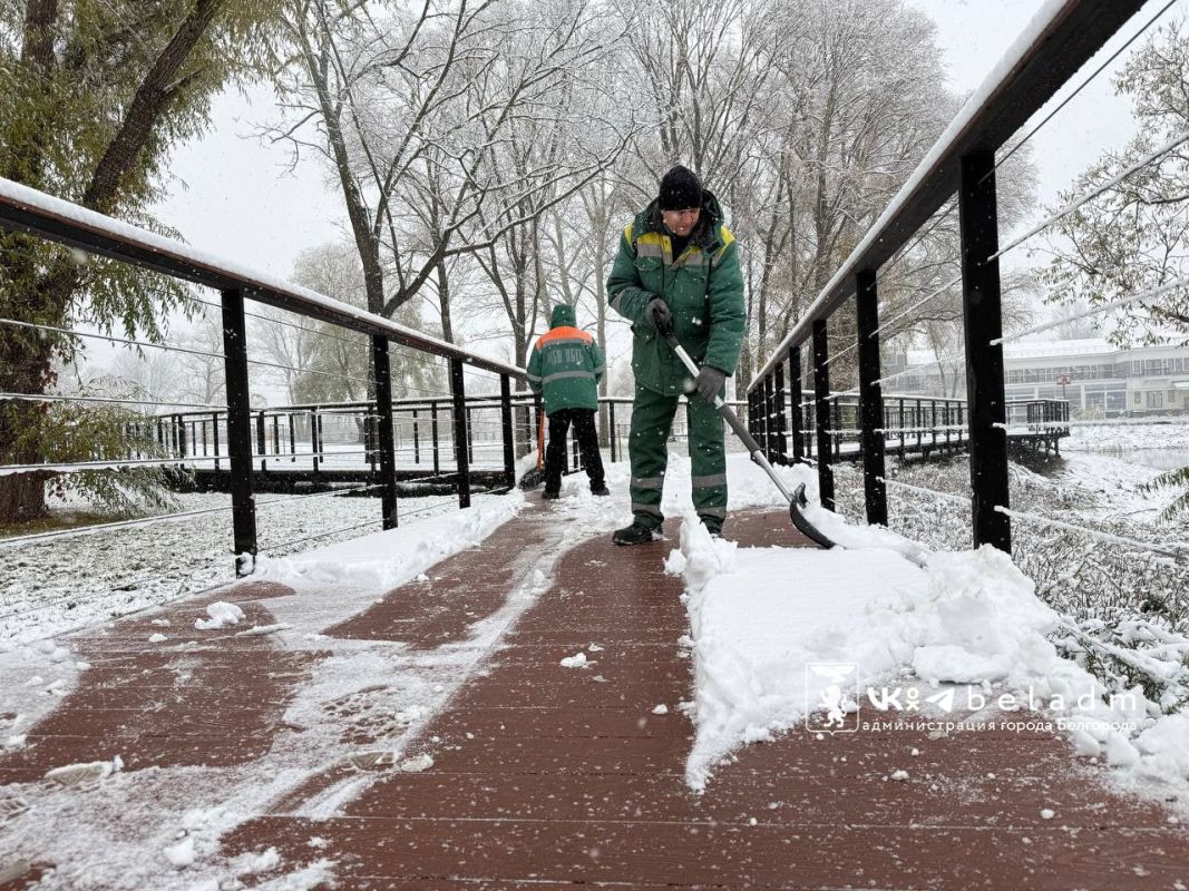 Мокрый снег задержится в Белгороде до вечера