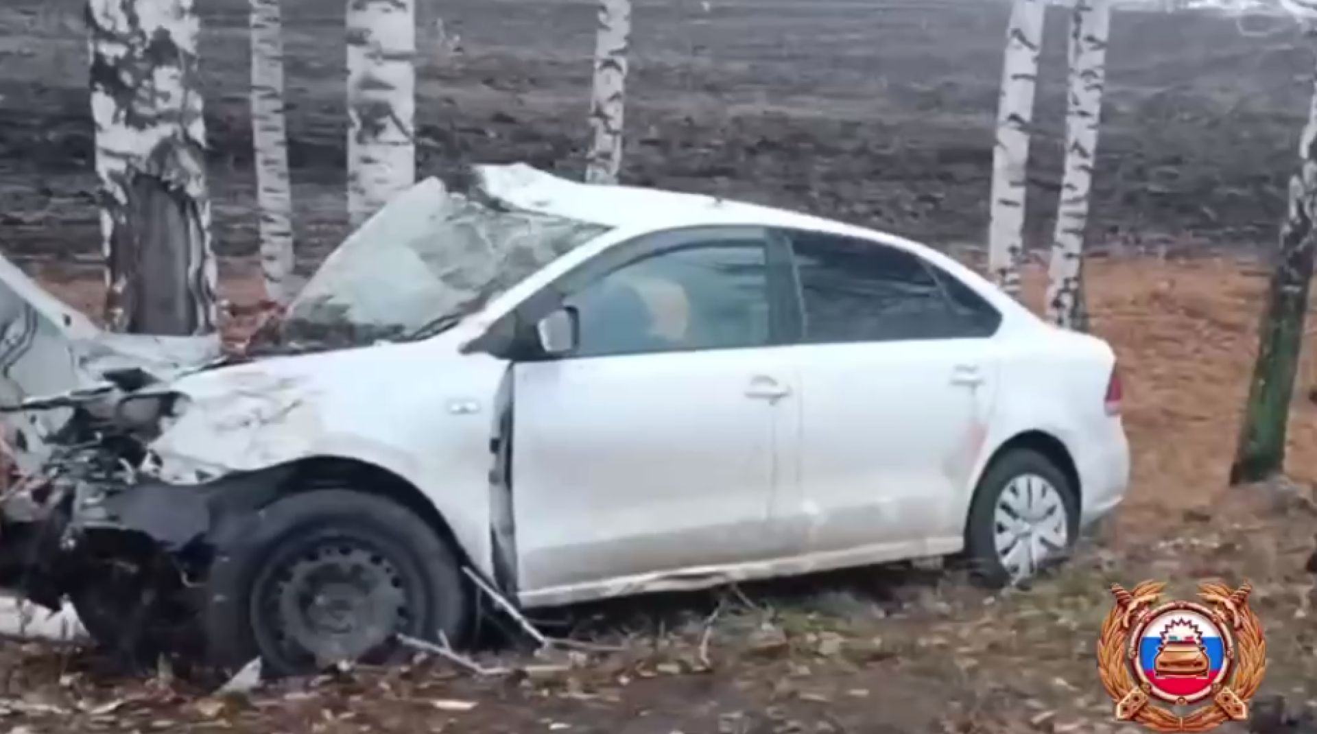 В Белгородской области девушка въехала в дерево и выжила в аварии