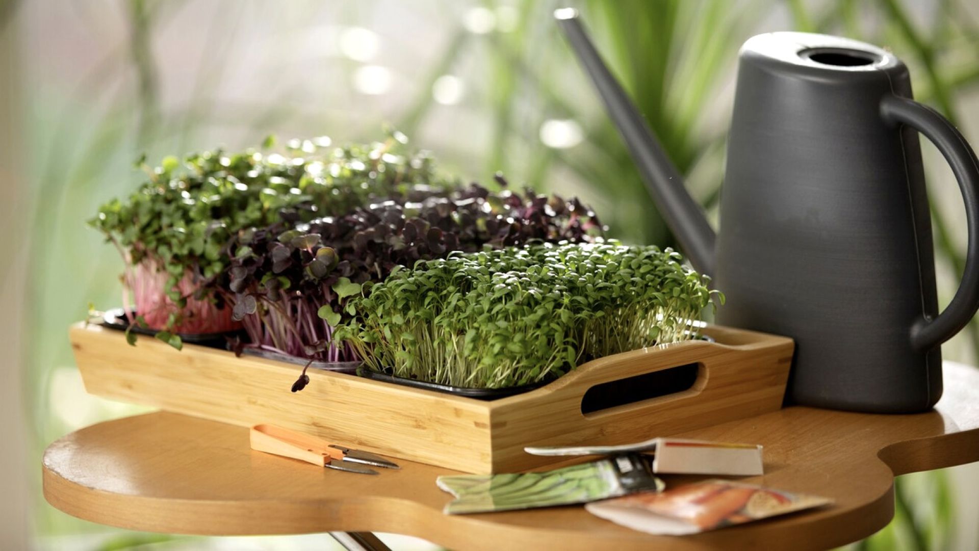 Пять видов зелени, которую легко вырастить на&nbsp;подоконнике к новогоднему столу