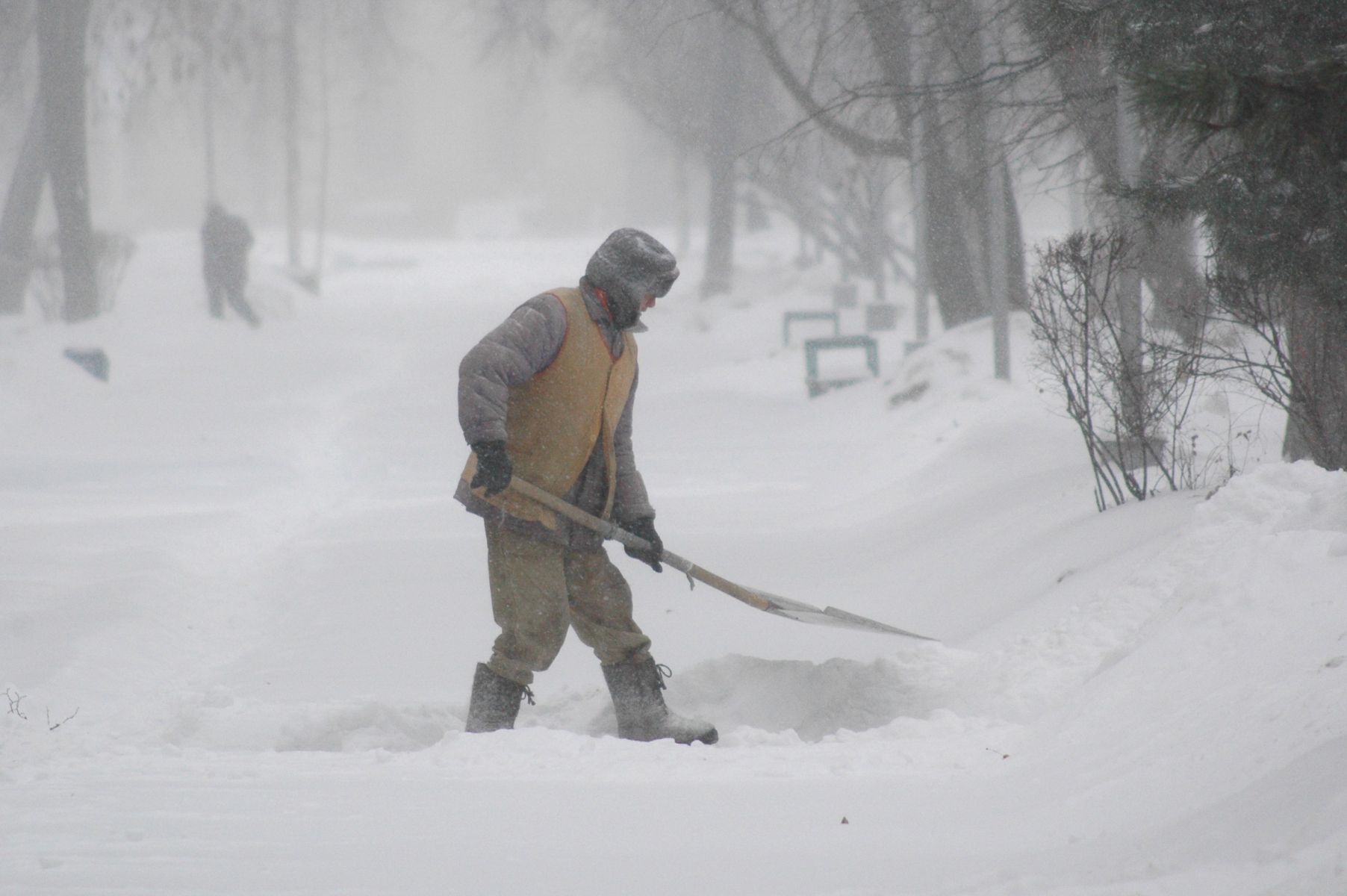 На Белгородскую область обрушится метель