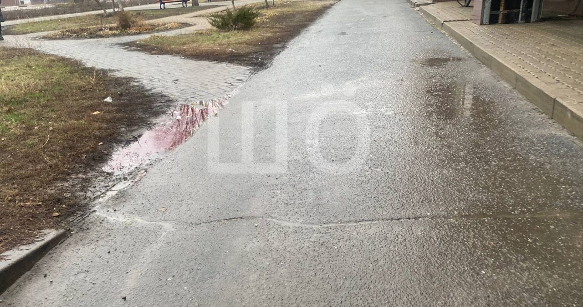 В Шебекино мужчина выпал из окна и разбился насмерть