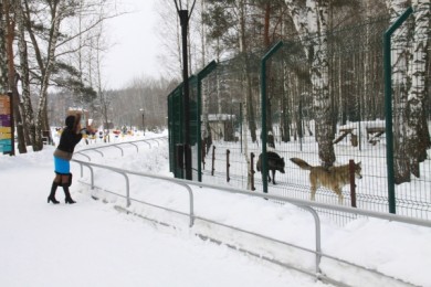 Белгородских студентов и Татьян ждут сегодня в зоопарке