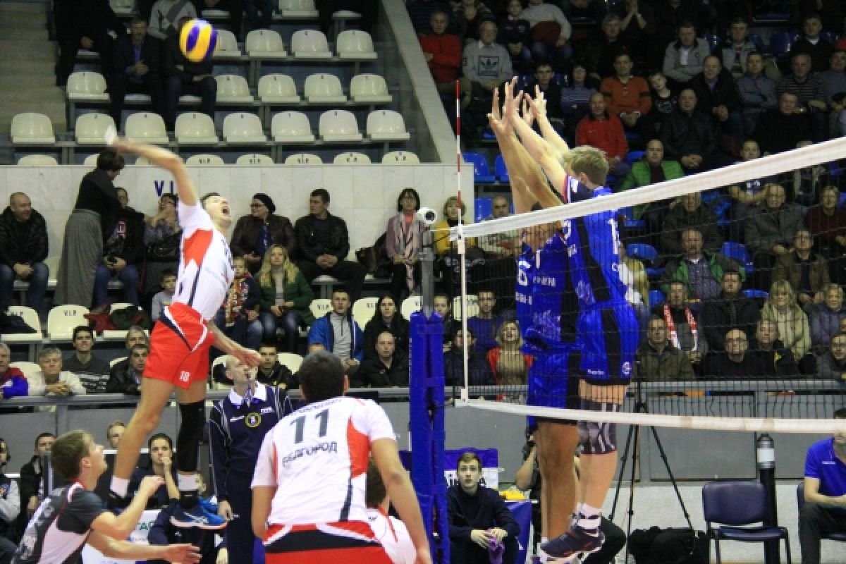 Волейболисты «Белогорья» стартовали с победы в Лиге чемпионов