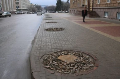 Под окном у губернатора спилили деревья