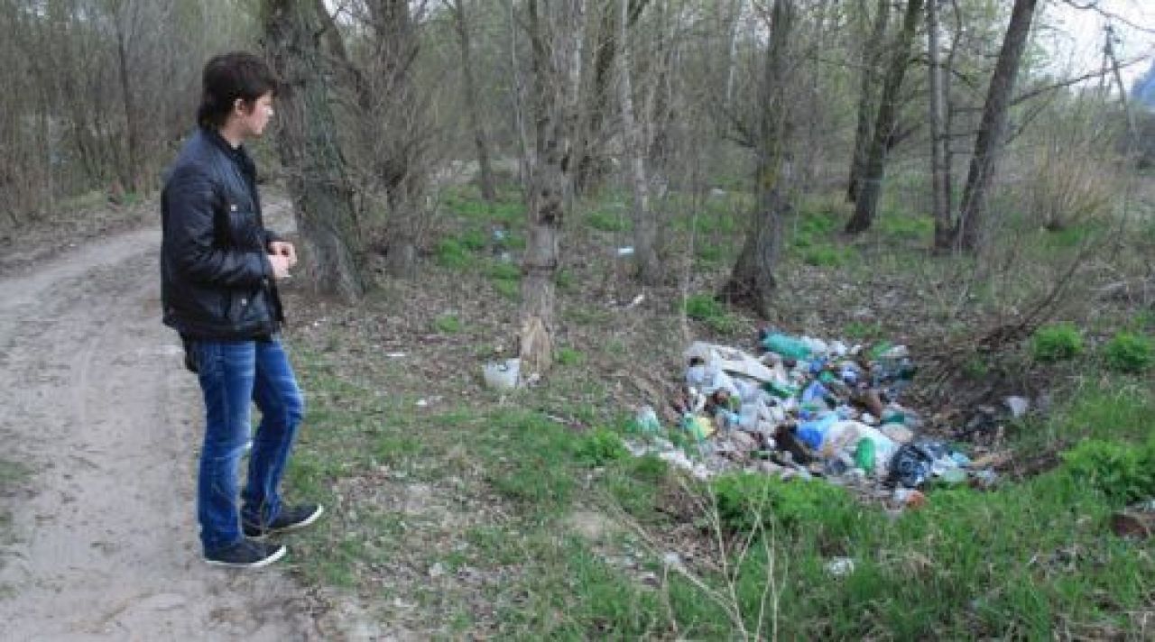 Эконадзор пообещал разобраться со свалкой в ближайшее время