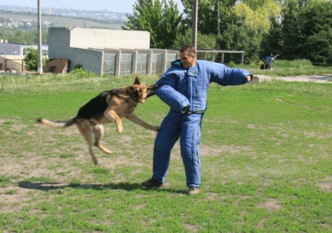 Защитный костюм спасает и от перелома костей, который может нанести собака своими зубами
