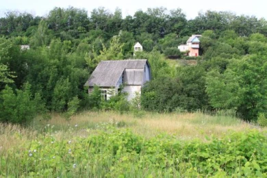 У белгородцев, которые не пользуются своими дачами, отберут участки